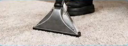 Carpet extraction machine cleaning the fibres of a light-coloured carpet